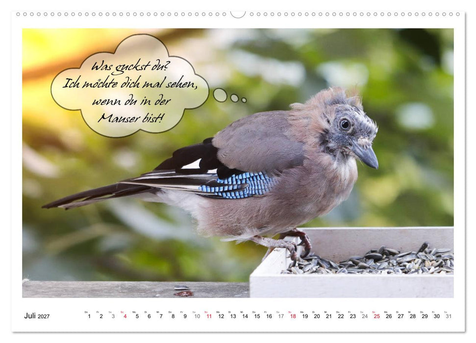 Vögel mit Humor (CALVENDO Premium Wandkalender 2027)