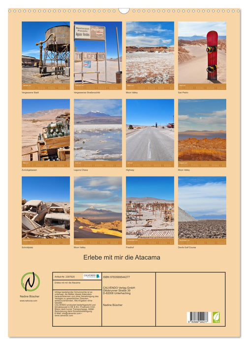 Erlebe mit mir die Atacama (CALVENDO Wandkalender 2027)