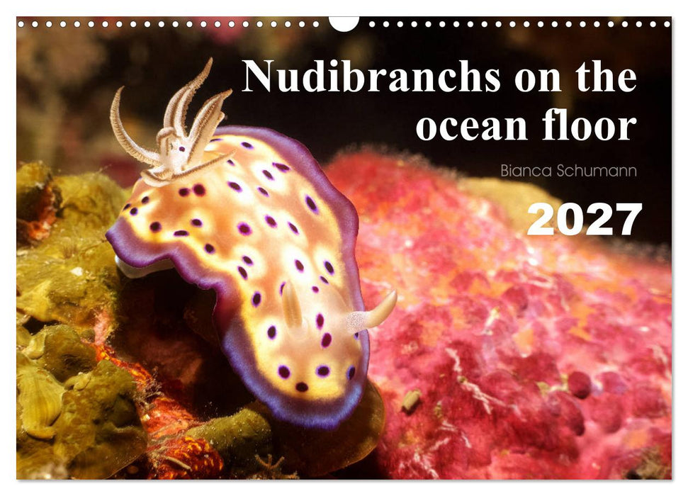 Nudibranchs on the ocean floor (CALVENDO Monthly Calendar 2027)