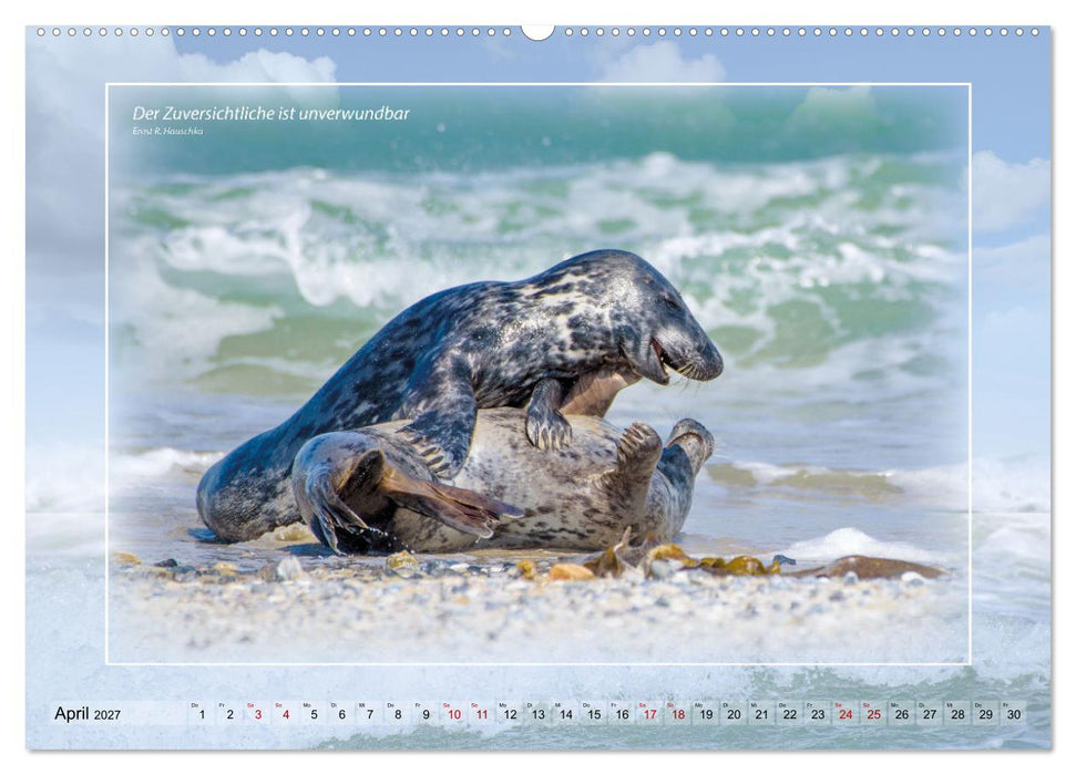Insel Gedanken (CALVENDO Premium Wandkalender 2027)