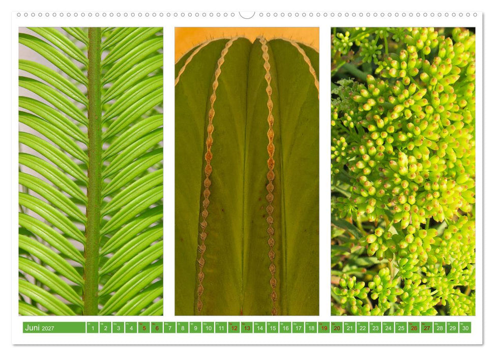 Farbenfrohes aus aller Welt (CALVENDO Wandkalender 2027)