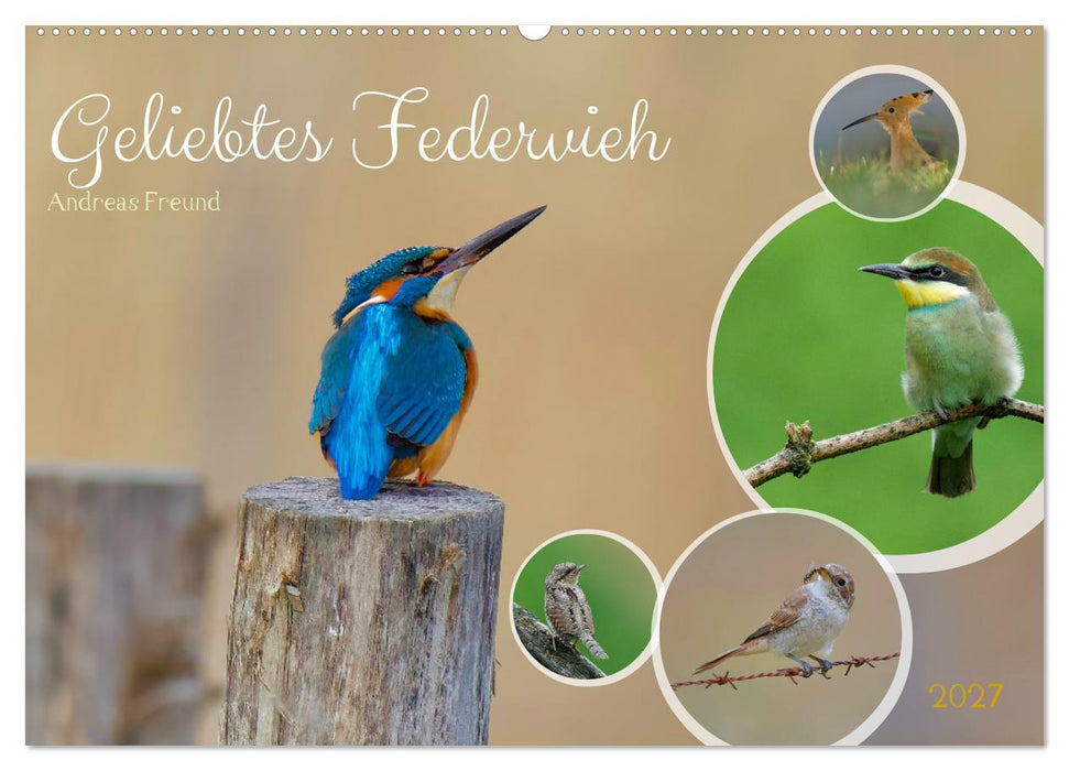 Geliebtes Federvieh (CALVENDO Wandkalender 2027)