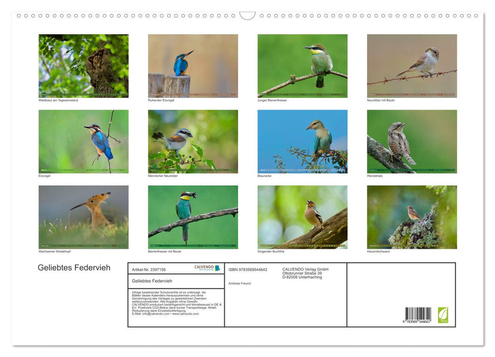 Geliebtes Federvieh (CALVENDO Wandkalender 2027)