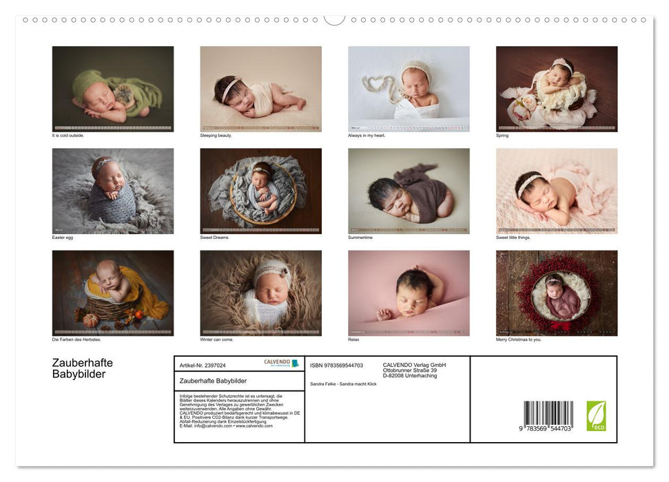 Zauberhafte Babybilder (CALVENDO Wandkalender 2027)