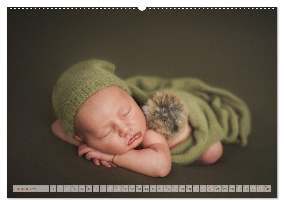 Zauberhafte Babybilder (CALVENDO Wandkalender 2027)