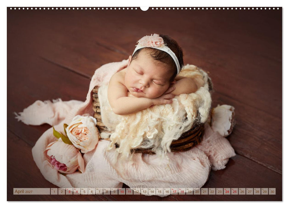 Zauberhafte Babybilder (CALVENDO Wandkalender 2027)