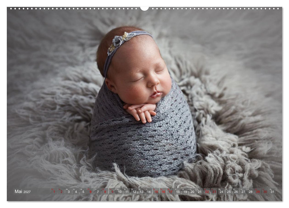 Zauberhafte Babybilder (CALVENDO Wandkalender 2027)