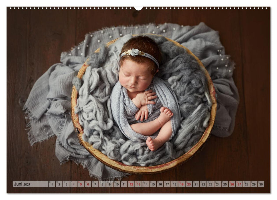 Zauberhafte Babybilder (CALVENDO Wandkalender 2027)