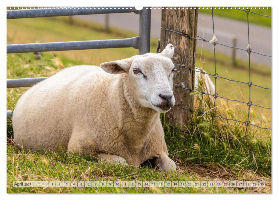 Texel - Kleine Insel, große Vielfalt (CALVENDO Wandkalender 2027)
