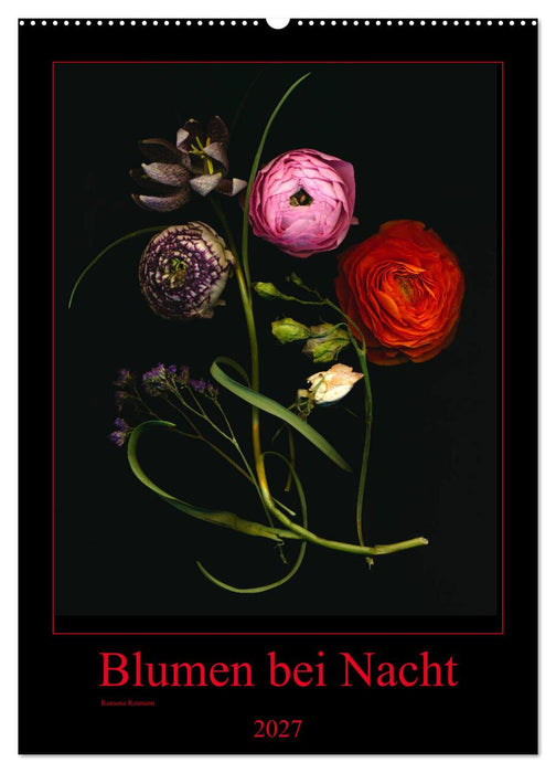 Blumen bei Nacht (CALVENDO Wandkalender 2027)