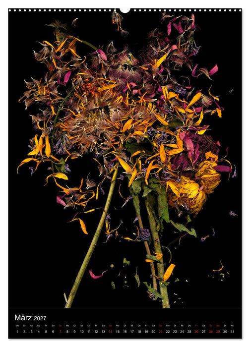 Blumen bei Nacht (CALVENDO Wandkalender 2027)