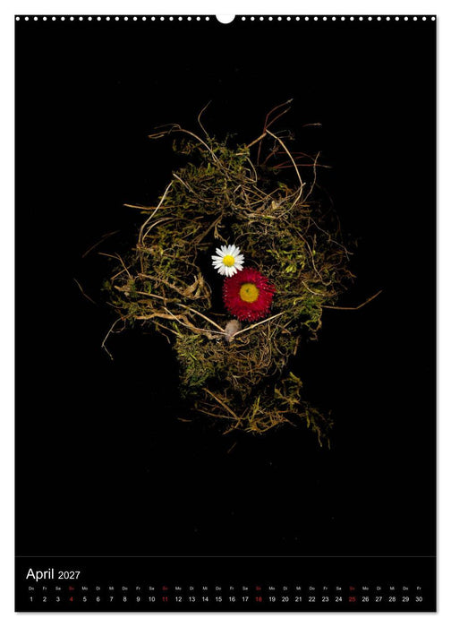 Blumen bei Nacht (CALVENDO Wandkalender 2027)