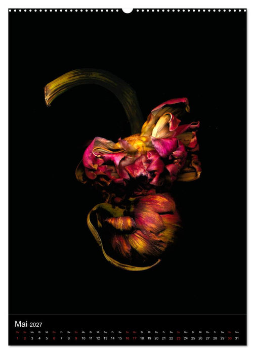 Blumen bei Nacht (CALVENDO Wandkalender 2027)