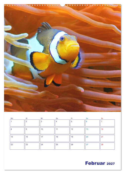 Bunte Meereswelten (CALVENDO Wandkalender 2027)