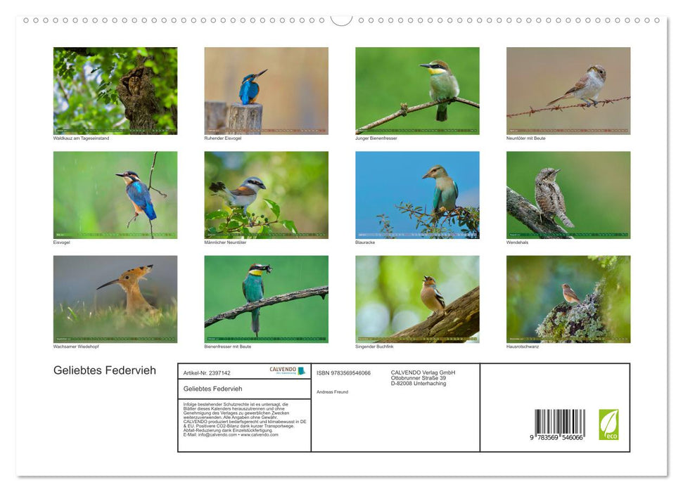Geliebtes Federvieh (CALVENDO Premium Wandkalender 2027)