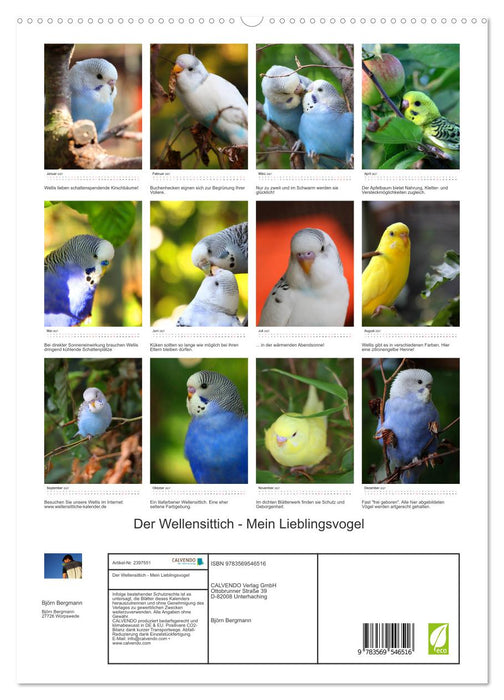 Der Wellensittich - Mein Lieblingsvogel (CALVENDO Premium Wandkalender 2027)