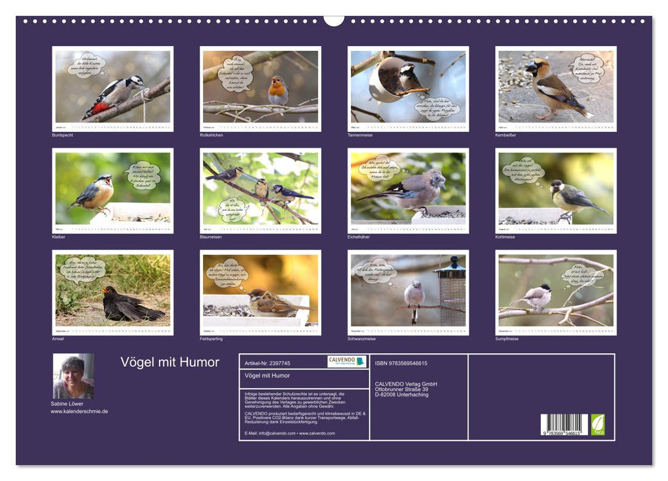 Vögel mit Humor (CALVENDO Wandkalender 2027)
