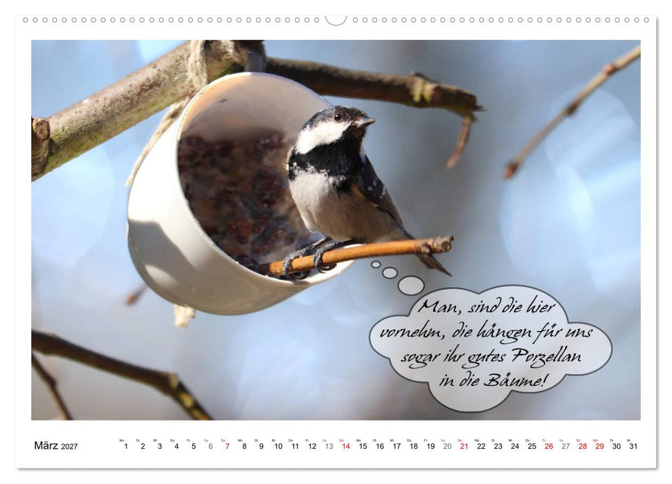 Vögel mit Humor (CALVENDO Wandkalender 2027)