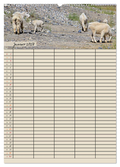 Tierischer Familienplaner (CALVENDO Wandkalender 2027)