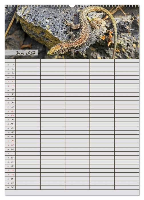 Tierischer Familienplaner (CALVENDO Wandkalender 2027)