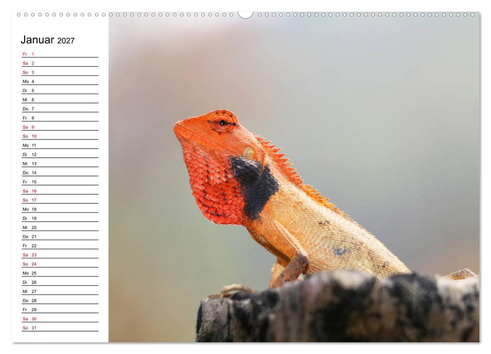 Tiere der Erde Geburtstagskalender (CALVENDO Wandkalender 2027)