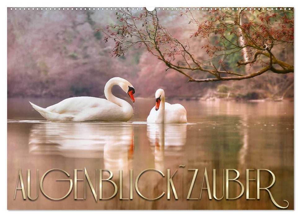 AUGENBLICK ZAUBER (CALVENDO Wandkalender 2027)