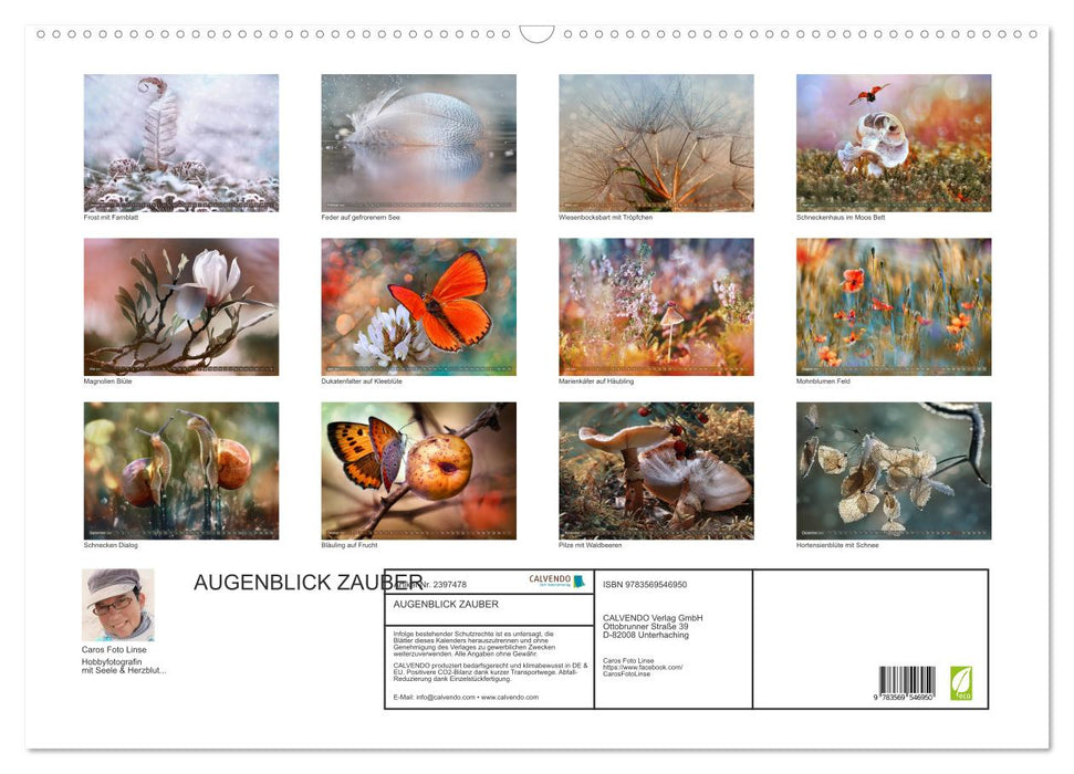 AUGENBLICK ZAUBER (CALVENDO Wandkalender 2027)