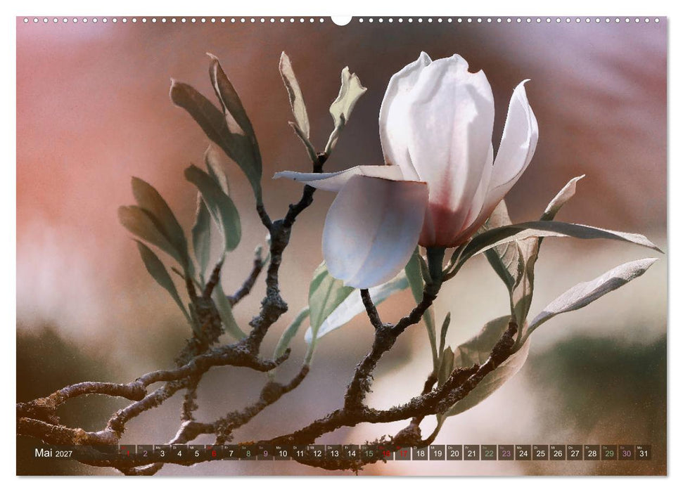 AUGENBLICK ZAUBER (CALVENDO Wandkalender 2027)