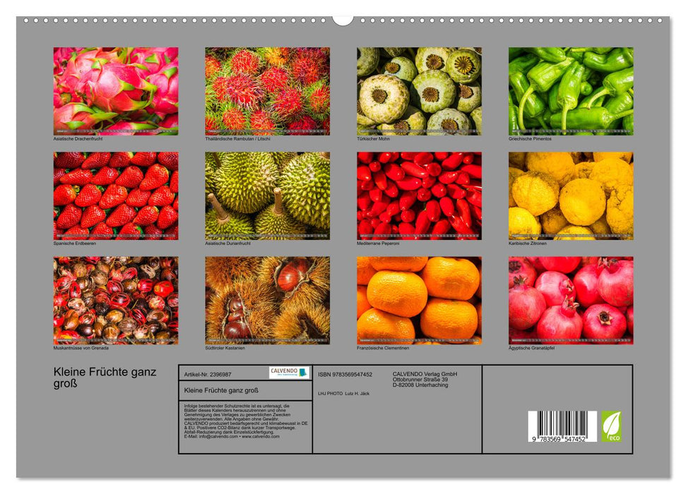 Kleine Früchte ganz groß (CALVENDO Wandkalender 2027)