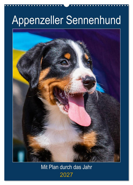 Appenzeller Sennenhund - Mit Plan durch das Jahr (CALVENDO Wandkalender 2027)