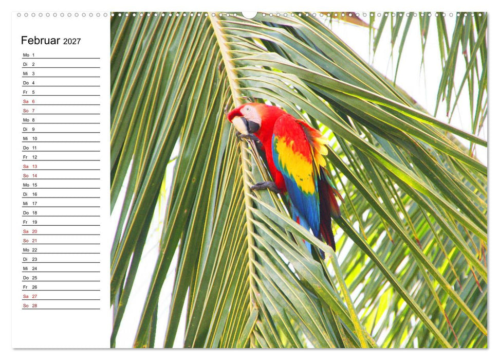 Tiere der Erde Geburtstagskalender (CALVENDO Premium Wandkalender 2027)