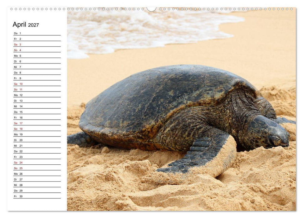 Tiere der Erde Geburtstagskalender (CALVENDO Premium Wandkalender 2027)