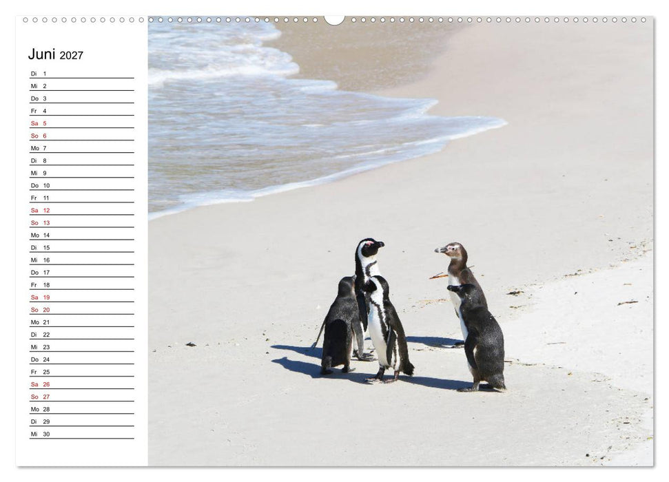 Tiere der Erde Geburtstagskalender (CALVENDO Premium Wandkalender 2027)