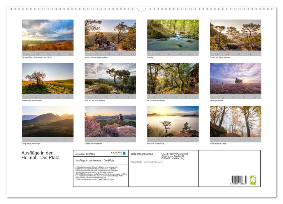 Ausflüge in der Heimat - Die Pfalz (CALVENDO Wandkalender 2027)