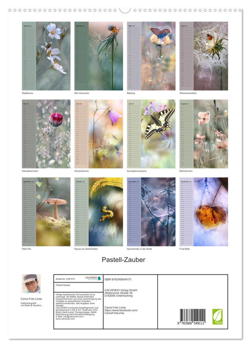 Pastell-Zauber (CALVENDO Premium Wandkalender 2027)
