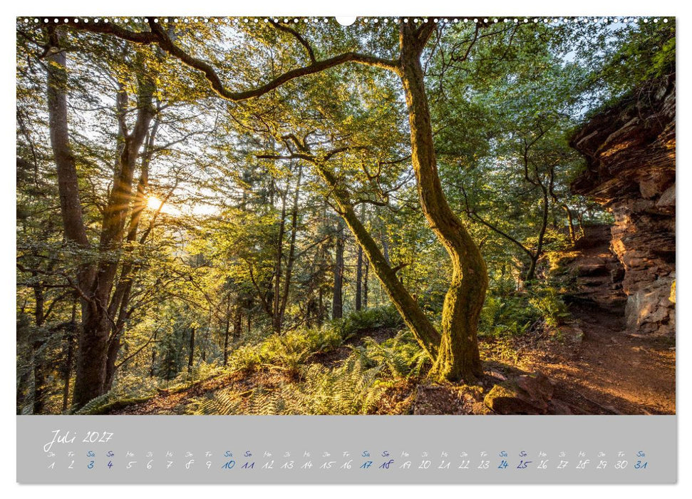 Ausflüge in der Heimat - Die Pfalz (CALVENDO Premium Wandkalender 2027)