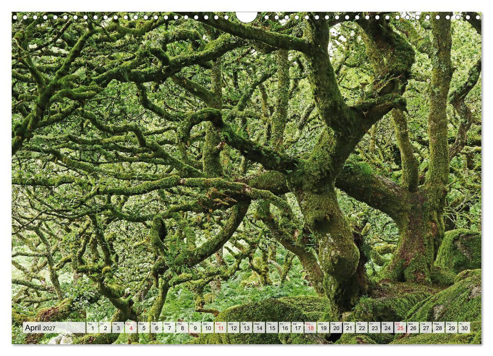 Magic South of England (CALVENDO Monthly Calendar 2027)