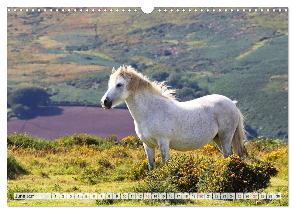 Magic South of England (CALVENDO Monthly Calendar 2027)