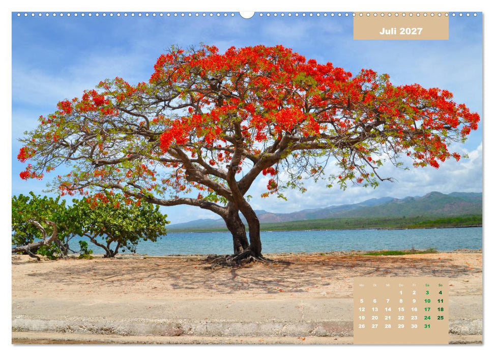 Erlebe mit mir das faszinierende Cuba (CALVENDO Premium Wandkalender 2027)