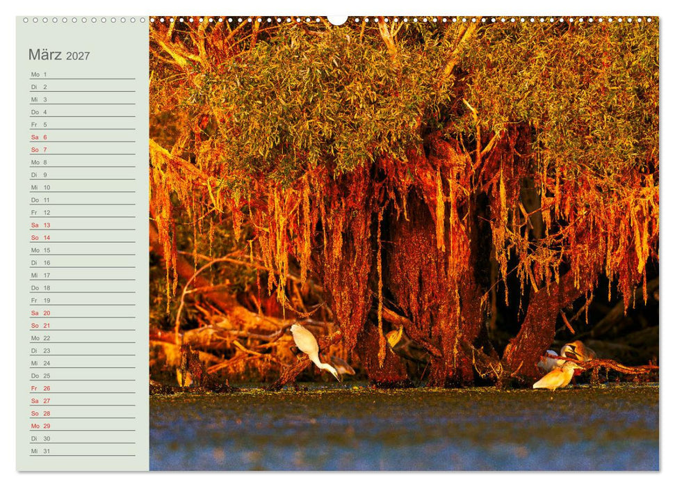 Donaudelta - Tierparadies am Schwarzen Meer (CALVENDO Wandkalender 2027)