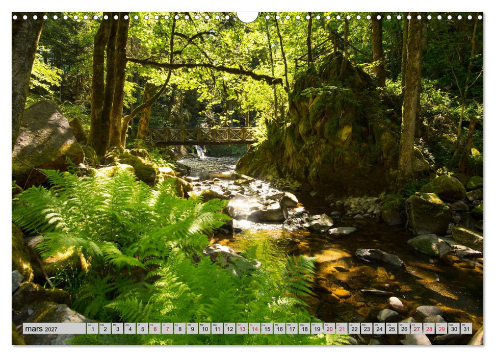 Splendeurs des Vosges (CALVENDO Calendrier mensuel 2027)