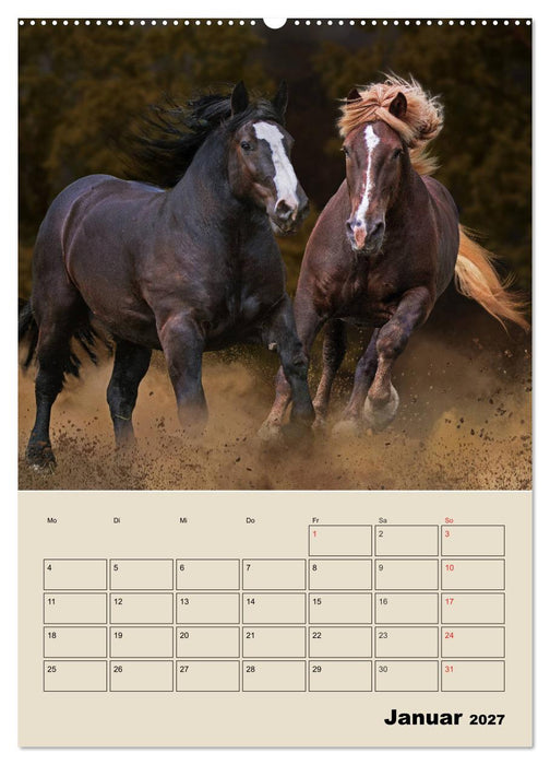 Pferdeträumereien - Traumbilder von Traumpferden (CALVENDO Premium Wandkalender 2027)