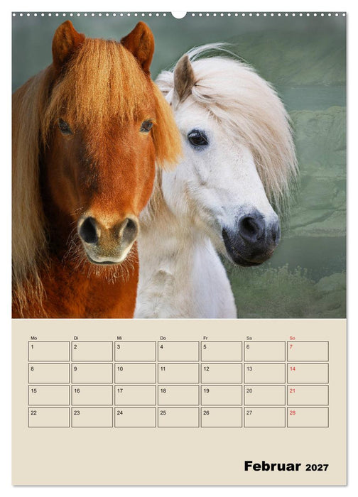 Pferdeträumereien - Traumbilder von Traumpferden (CALVENDO Premium Wandkalender 2027)