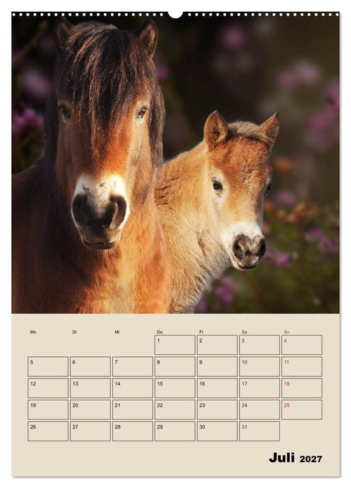 Pferdeträumereien - Traumbilder von Traumpferden (CALVENDO Premium Wandkalender 2027)