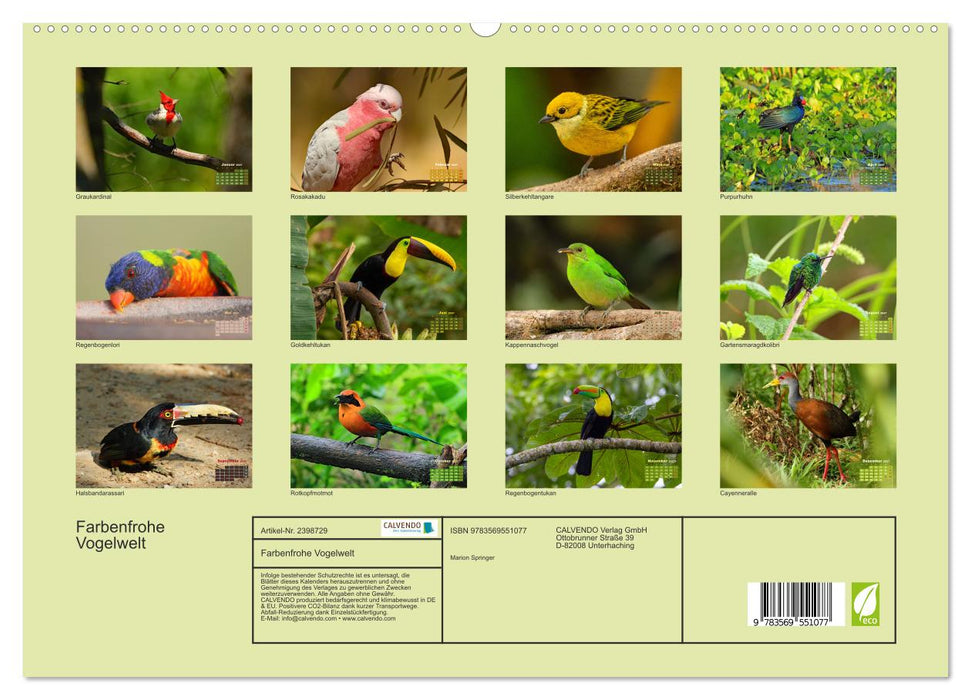 Farbenfrohe Vogelwelt (CALVENDO Premium Wandkalender 2027)
