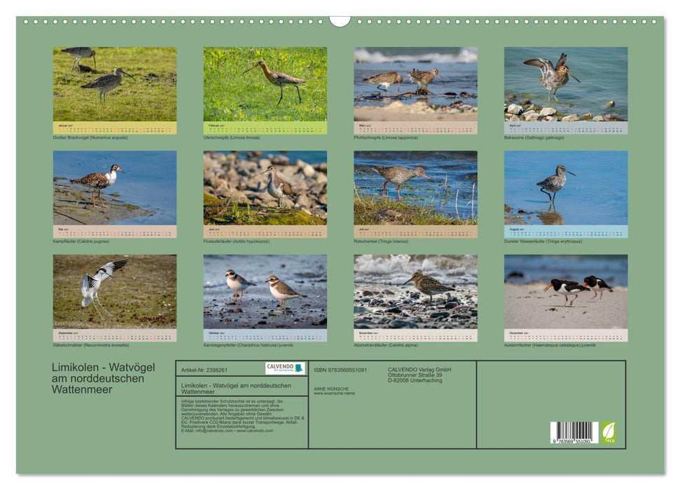 Limikolen - Watvögel am norddeutschen Wattenmeer (CALVENDO Wandkalender 2027)