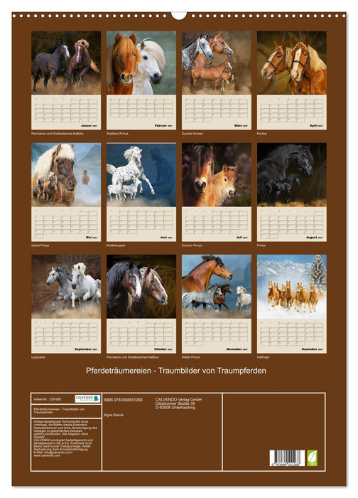 Pferdeträumereien - Traumbilder von Traumpferden (CALVENDO Wandkalender 2027)