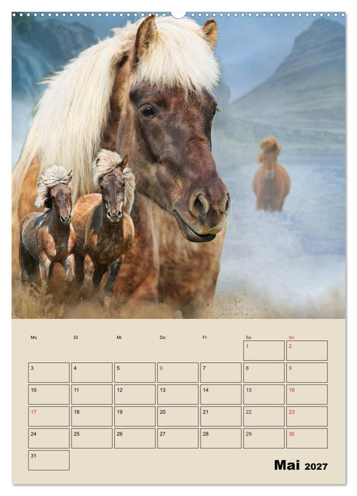 Pferdeträumereien - Traumbilder von Traumpferden (CALVENDO Wandkalender 2027)