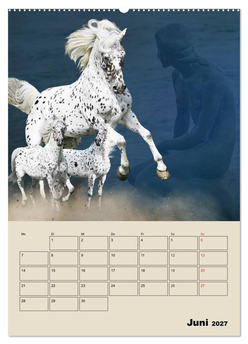 Pferdeträumereien - Traumbilder von Traumpferden (CALVENDO Wandkalender 2027)