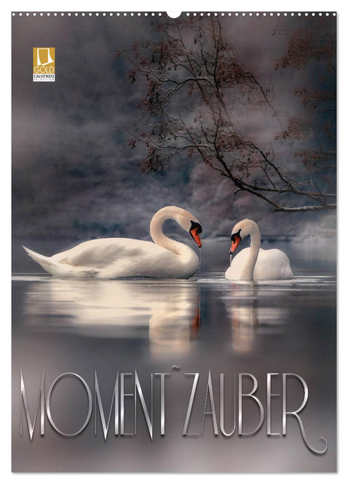 Moment Zauber (CALVENDO Wandkalender 2027)